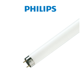 Bóng huỳnh quang TLD